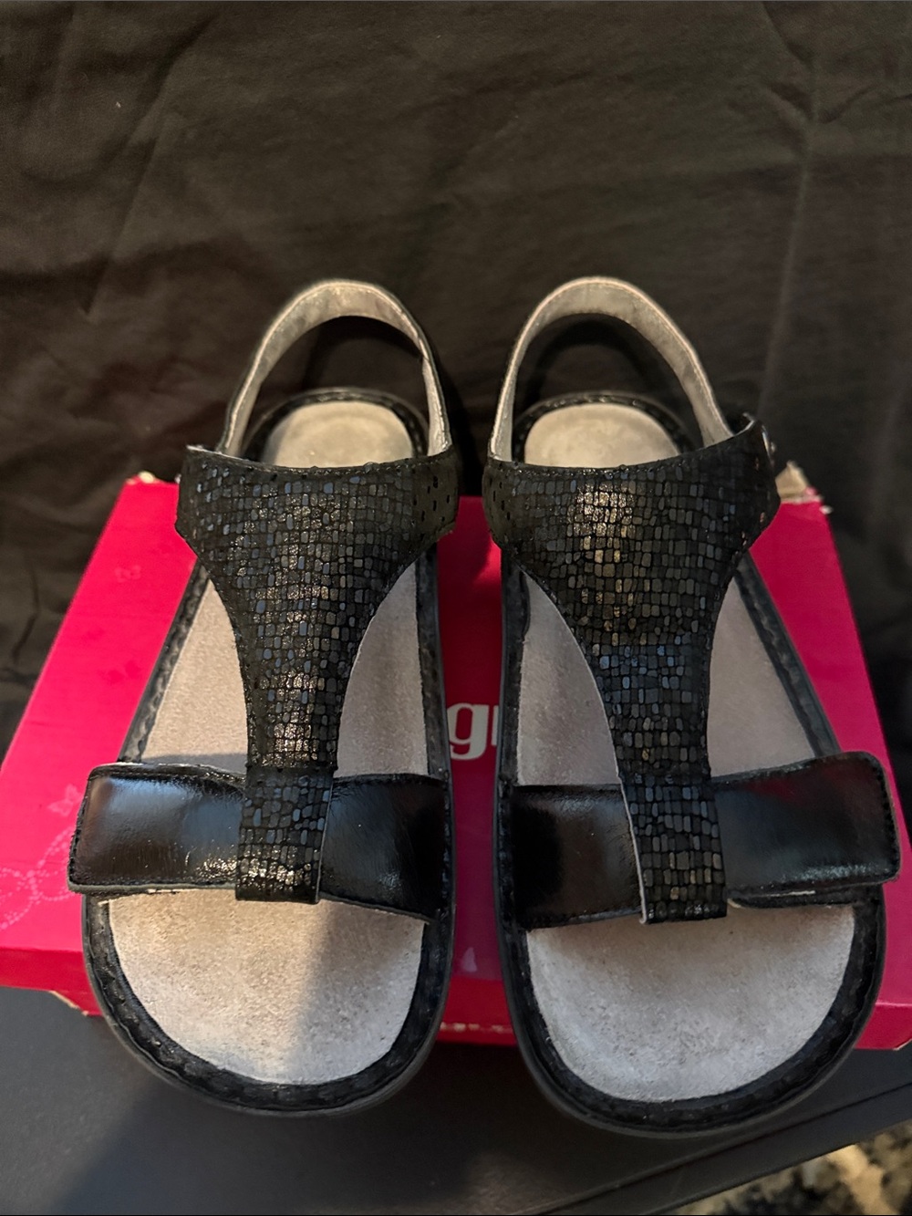 Alegria Black T-Strap Sandals with Shimmer